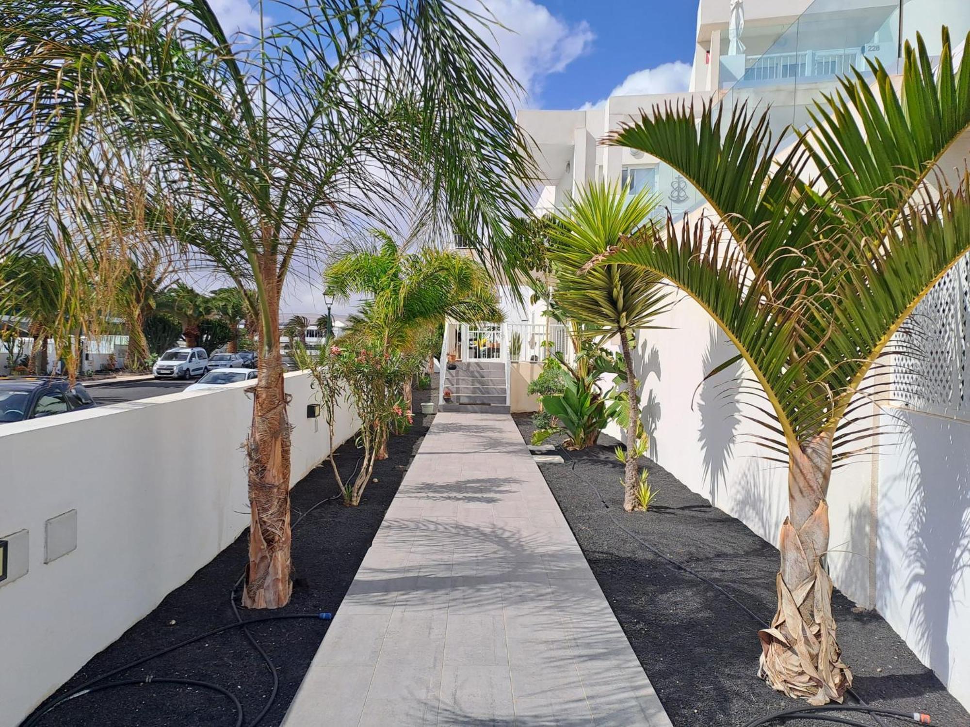 Luxury Sea View Senator Lanzarote Διαμέρισμα Costa Teguise Εξωτερικό φωτογραφία