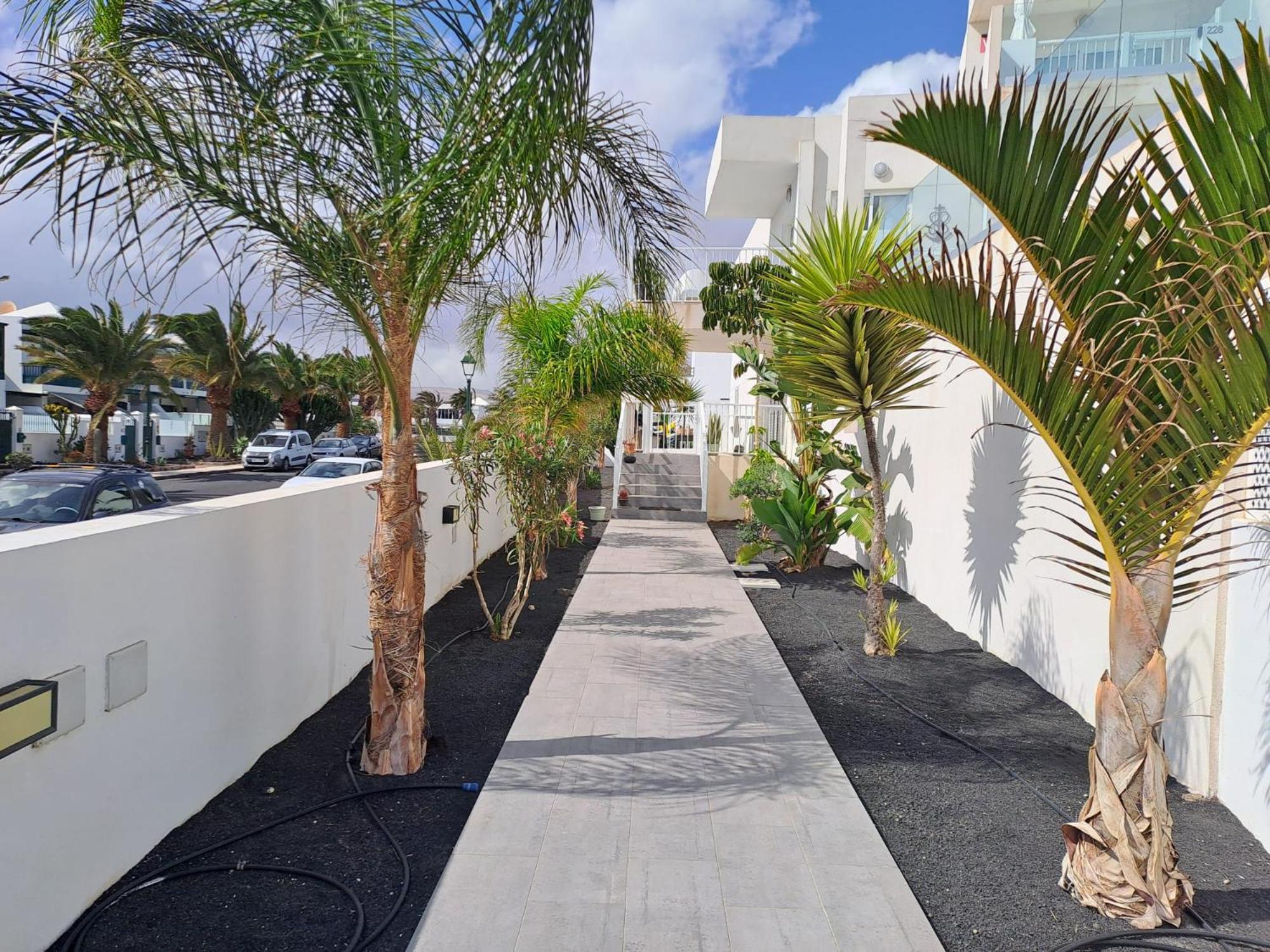 Luxury Sea View Senator Lanzarote Διαμέρισμα Costa Teguise Εξωτερικό φωτογραφία
