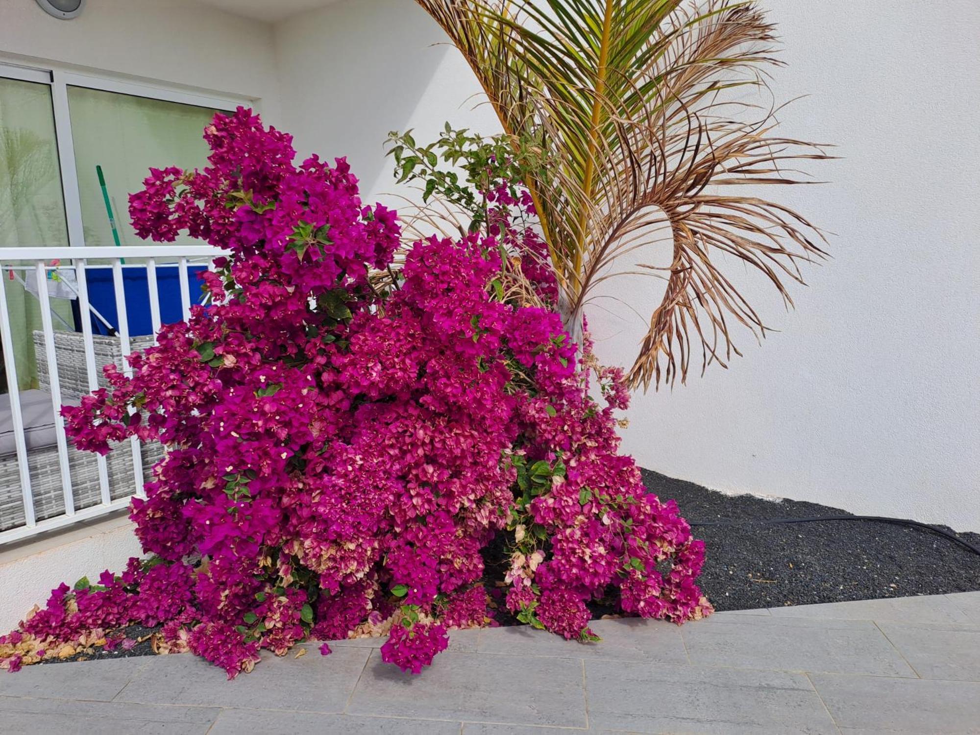 Luxury Sea View Senator Lanzarote Διαμέρισμα Costa Teguise Εξωτερικό φωτογραφία
